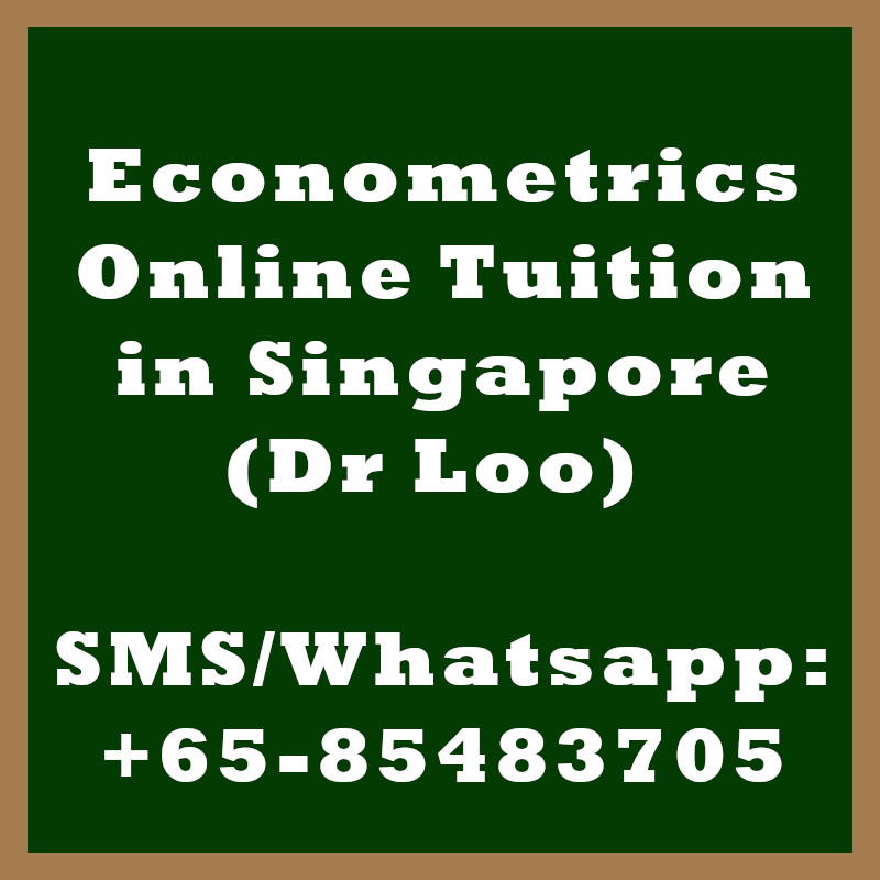 Econometrics Online Tuition Singapore