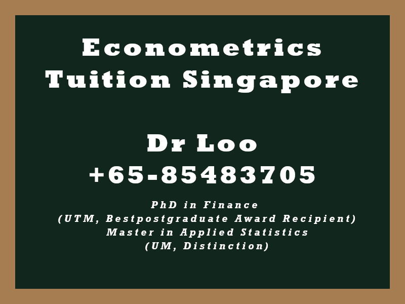 Econometrics Private Tuition in Singapore