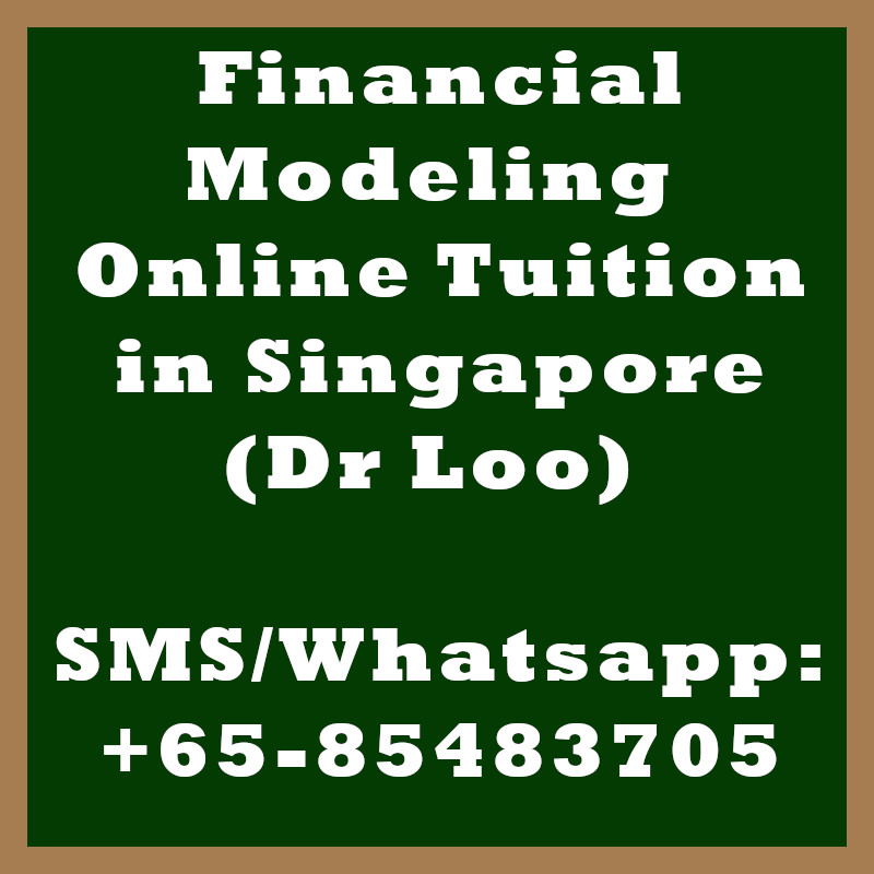 Financial Modeling Online Tuition Singapore