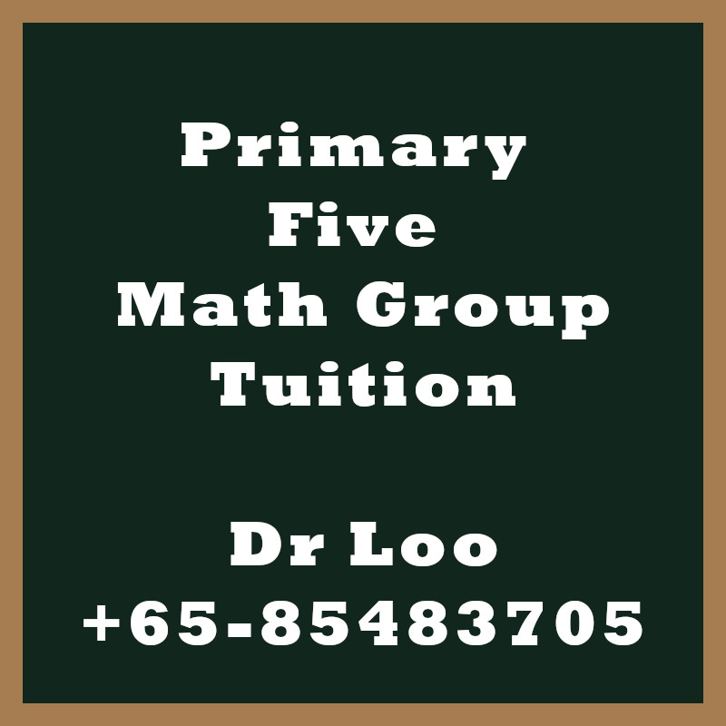 Primary Five Math Group Tuition Class Singapore