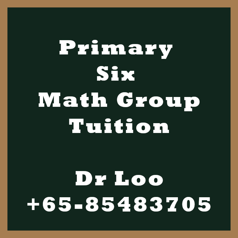 Primary Six Math Group Tuition Class Singapore