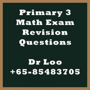 Primary 3 Math Exam Revision Questions